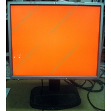 Монитор 19" TFT HP 1955 (DVI в Северске, USB-хаб) "квадратный" (Северск)