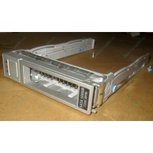 Салазки Sun 350-1386-04 в Северске, 330-5120-04 1 для HDD (Северск)