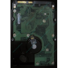 HP 454228-001 146Gb 15k SAS HDD (Северск)
