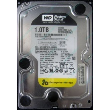 НЕРАБОЧИЙ жесткий диск 1Tb WD RE3 WD1002FBYS 32Mb cache SATA (Северск)