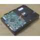Жесткий диск HP 250Gb 7200 rpm 432337-001/ 399699-001 / 397377-004 (Северск)