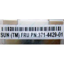 Серверная память SUN (FRU PN 371-4429-01) 4096Mb (4Gb) DDR3 ECC в Северске, память для сервера SUN FRU P/N 371-4429-01 (Северск)