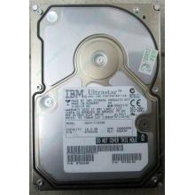 Жесткий диск 18.2Gb IBM Ultrastar DDYS-T18350 Ultra3 SCSI (Северск)