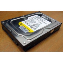 Жесткий диск 160Gb WD WD1602ABKS SATA (Северск)