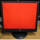 Монитор 19" ViewSonic VA903b (1280x1024) есть битые пиксели (Северск)