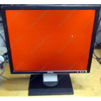 Dell E197F P в Северске, монитор 19" TFT Dell E197FPb (Северск)