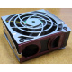 HP 224977 (224978-001) for Proliant ML370 G2/G3/G4 (Северск).
