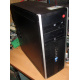 БУ компьютер HP Compaq Elite 8300 (Intel Core i3-3220 (2x3.3GHz HT) /4Gb /250Gb /ATX 320W) - Северск