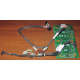 Корзина 59P5159 24P2578 IBM X225 / X226 / X235 / X255 / X266 xSeries servers FRU59P5159 FRU24P2578 (Северск)