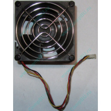 Вентилятор EFB0812HHE IBM 59P23B1 FRU 59P2572 (Северск)