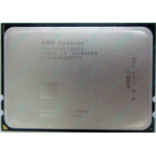 AMD Opteron 6128 OS6128WKT8EGO (Северск)