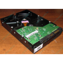 Жесткий диск 500Gb WD WD5000AAKX HP 634605-003 613208-001 7.2k SATA (Северск)