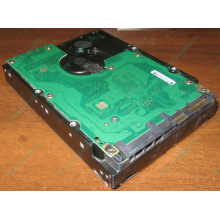 Жесткий диск 300Gb 15k Dell 9CH066-050 6G SAS (Seagate Cheetach ST3300656SS 15K.6) - Северск